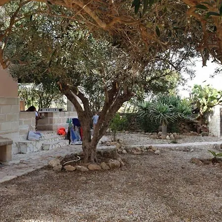 - La Rosa Del Mare Favignana